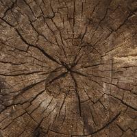 Benefits of Using Oak for Roof Trusses